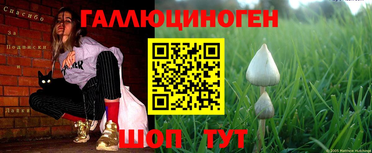 Псилоцибиновые грибы MAGIC MUSHROOMS  Вход с VPN  Егорьевск 
